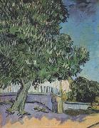 Vincent Van Gogh Chestnut Tree in Blossom (nn04) France oil painting reproduction